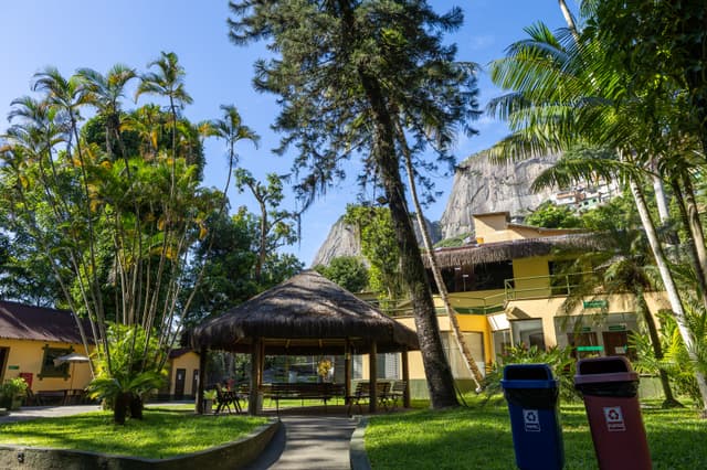 Slide com imagem de null